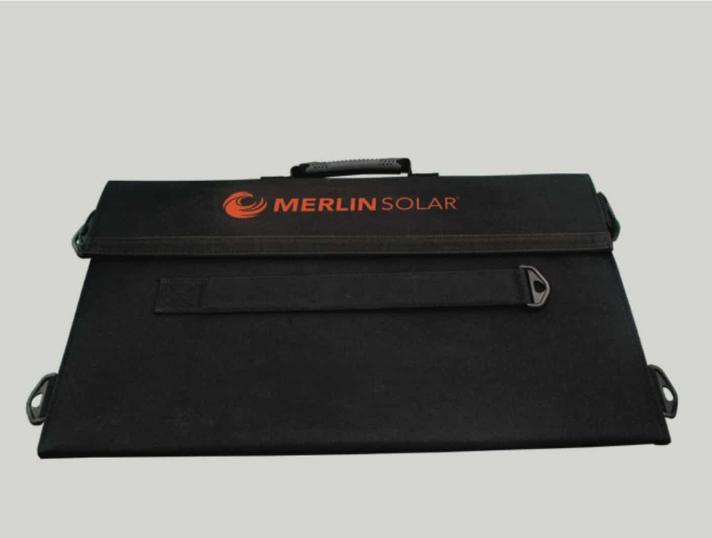 MERLIN-Panther200_4.jpg